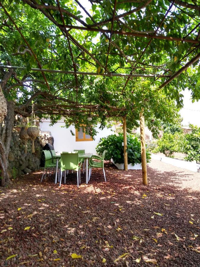 Los Huertos Conect With The Nature & Relax Icod De Los Vinos Exteriör bild