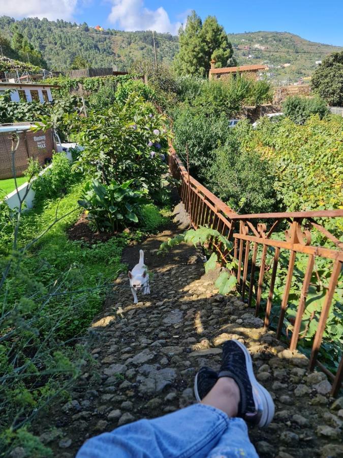 Los Huertos Conect With The Nature & Relax Icod De Los Vinos Exteriör bild