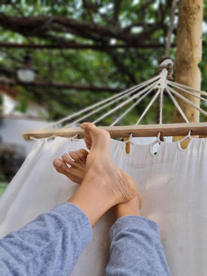 Los Huertos Conect With The Nature & Relax Icod De Los Vinos Exteriör bild